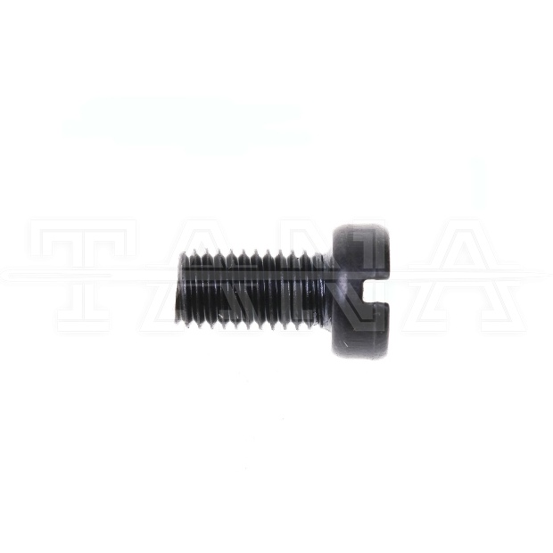 Винт SS-6110810-TP (10шт.)